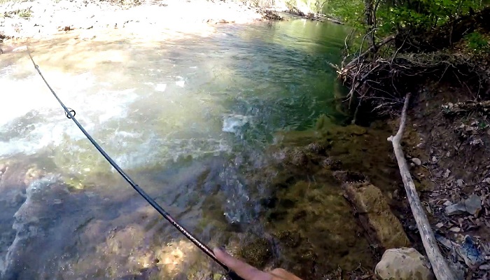 Рыбалка на реке Альма